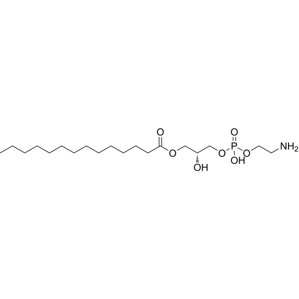 1-Myristoyl-2-hydroxy-sn-glycero-3-phosphoethanolamine 123060-40-2